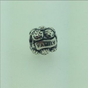 Pandora love and family silver charm 791039